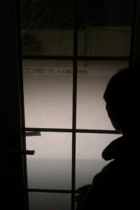 昨夜から降りしきる雪。。。 Since last night snow never stopped...