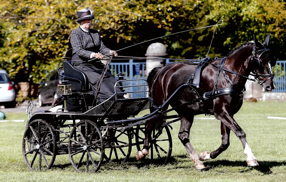 Mrs. Jane Issac was very happy with her hat with her horse carriage driving occasion. hat sits nice and associated her dress, horse, carriage and whip together.